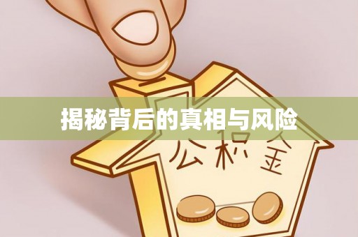 珲春揭秘背后的真相与风险