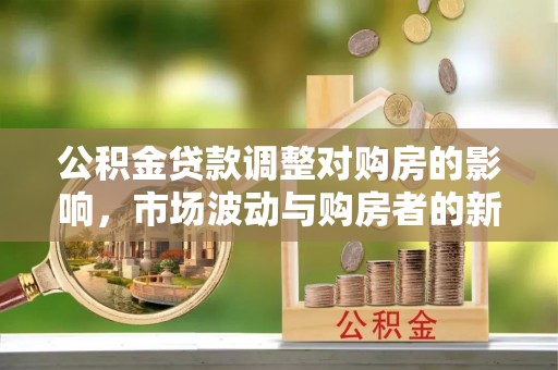 珲春公积金贷款调整对购房的影响，市场波动与购房者的新选择