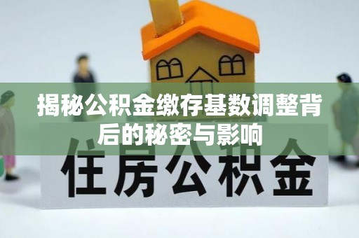 珲春揭秘公积金缴存基数调整背后的秘密与影响