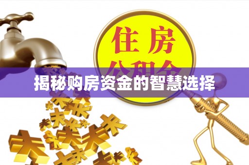 珲春揭秘购房资金的智慧选择
