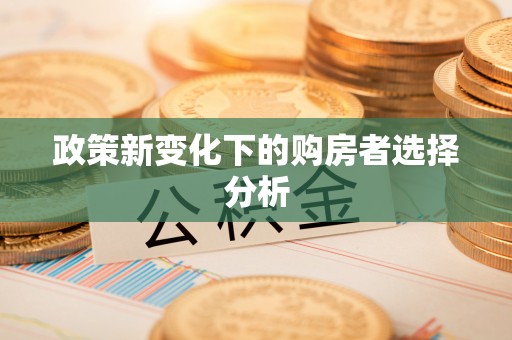珲春政策新变化下的购房者选择分析