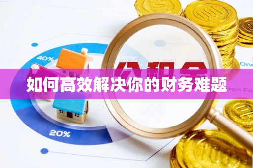 珲春如何高效解决你的财务难题