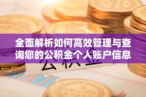 珲春全面解析如何高效管理与查询您的公积金个人账户信息
