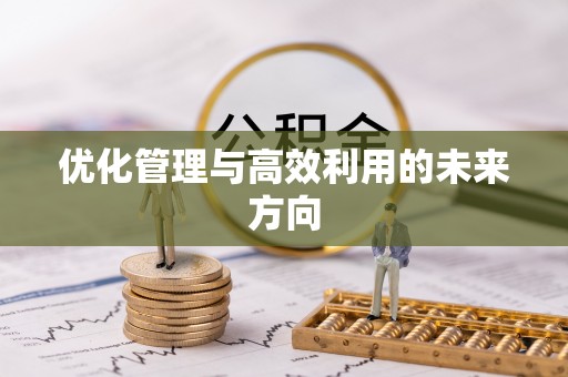 珲春优化管理与高效利用的未来方向