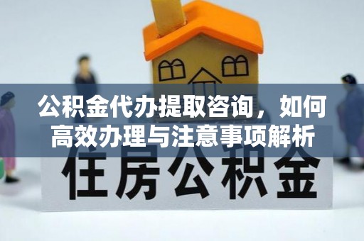 珲春公积金代办提取咨询，如何高效办理与注意事项解析