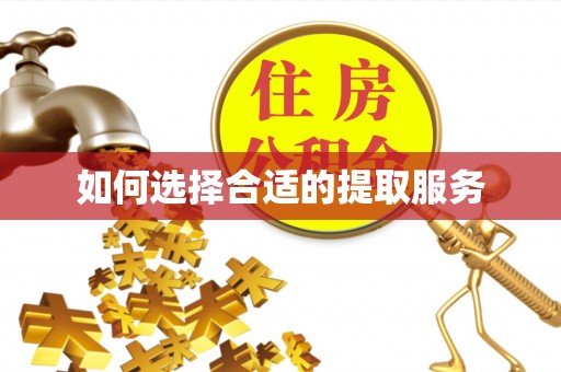 珲春如何选择合适的提取服务